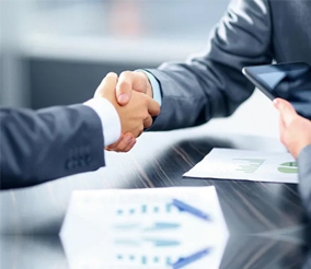 项目型咨询服务